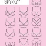 The Beginners Guide to Guide to Bra Styles