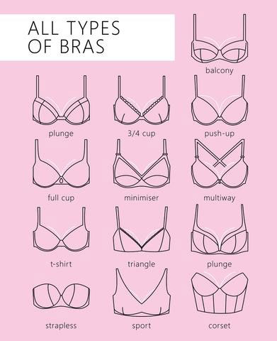 The Beginners Guide to Guide to Bra Styles