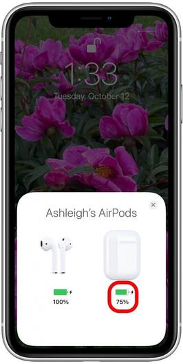 Examining the Charging Level of Your AirPods Case
